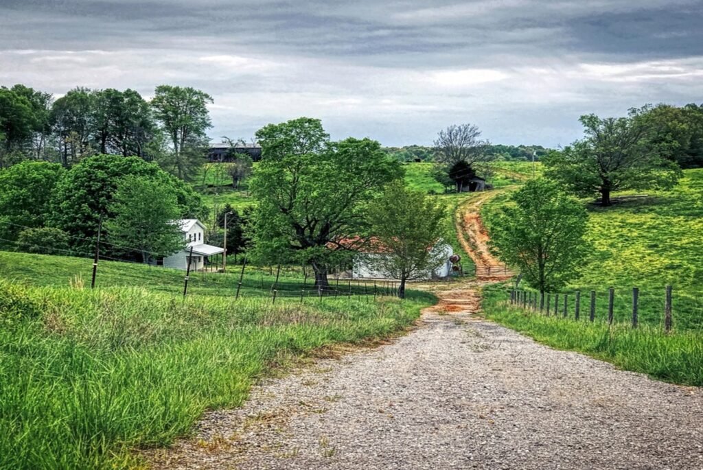 1-Day New York to Amish Farms Tour