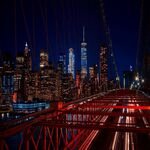 Night Tour